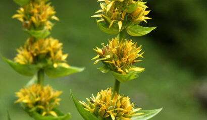 [Buchtipp] „Gefühlte Wahrheit“. Wie Emotionen unser Weltbild formen von Sebastian Herrmann