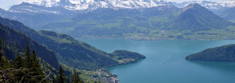 31. Mai 2026: Kräuterwanderung auf der Rigi - botanische Entdeckungen am Südhang